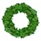 20" Lush Green Preserved Leaf Spring Garden Wreath